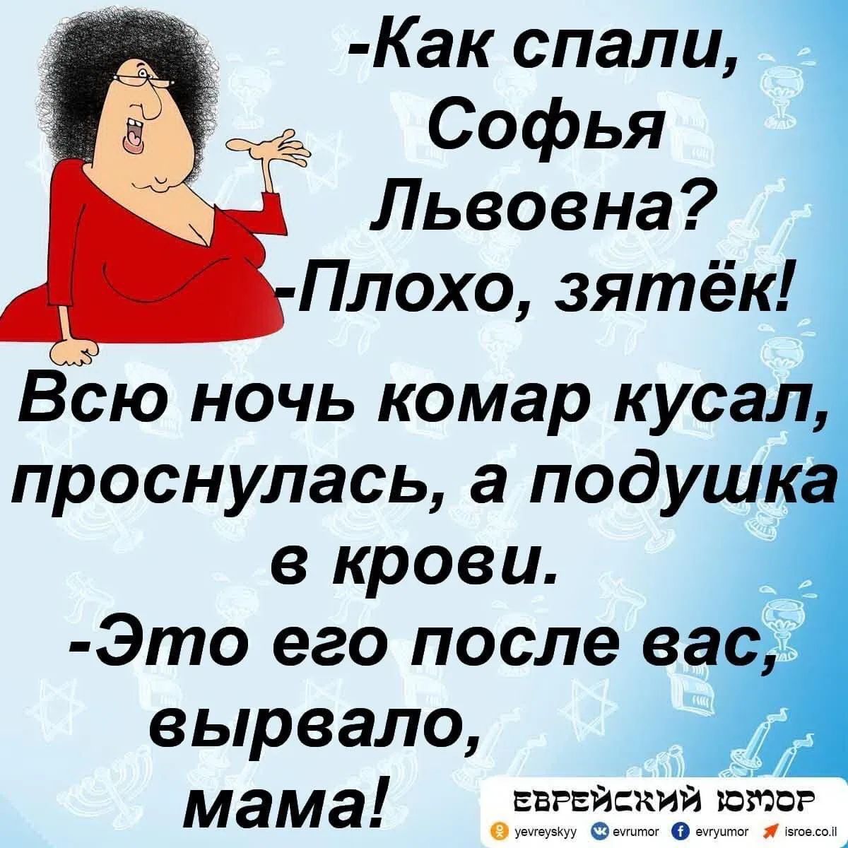 -Как спали, Софья Львовна? -Плохо, зятёк! Всю ночь комари кусал, проснулась, а подушка в крови. -Это его после вас, вырвало, мама!