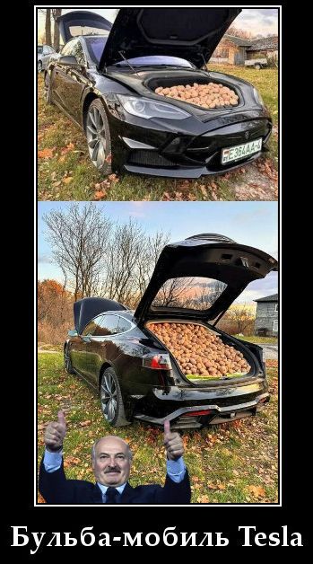 Бульба-мобиль Tesla
