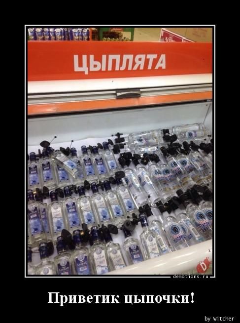 ЦЫПЛЯТА Приветик цыпочки! demotions.ru by witcher