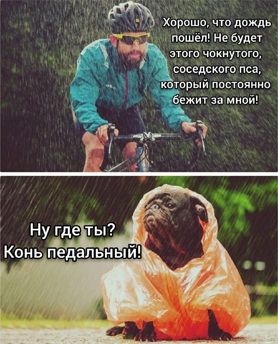 Хорошо, что дождь пошёл! Не будет этого чокнутого, соседского пса, который постоянно бежит за мной! Ну где ты? Конь педальный!