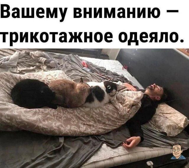 Вашему вниманию — трикотажное одеяло.