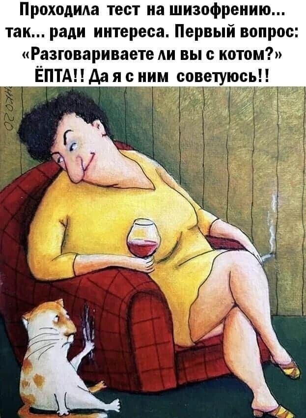Проходила тест на шизофрению... так... ради интереса. Первый вопрос: «Разговариваете ли вы с котом?» ЁПТА!! Да я с ним советуюсь!!
