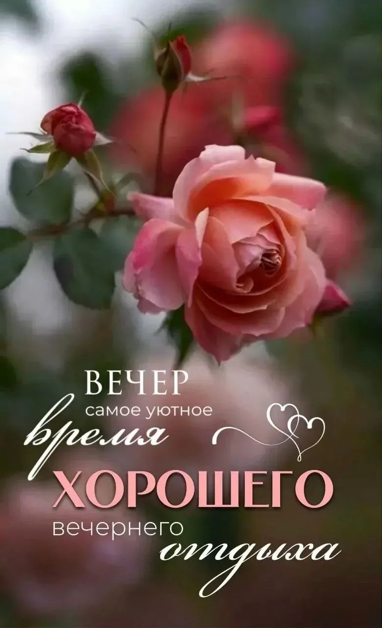 ВЕЧЕР самое уютное время ХОРОШЕГО вечернего отдыха