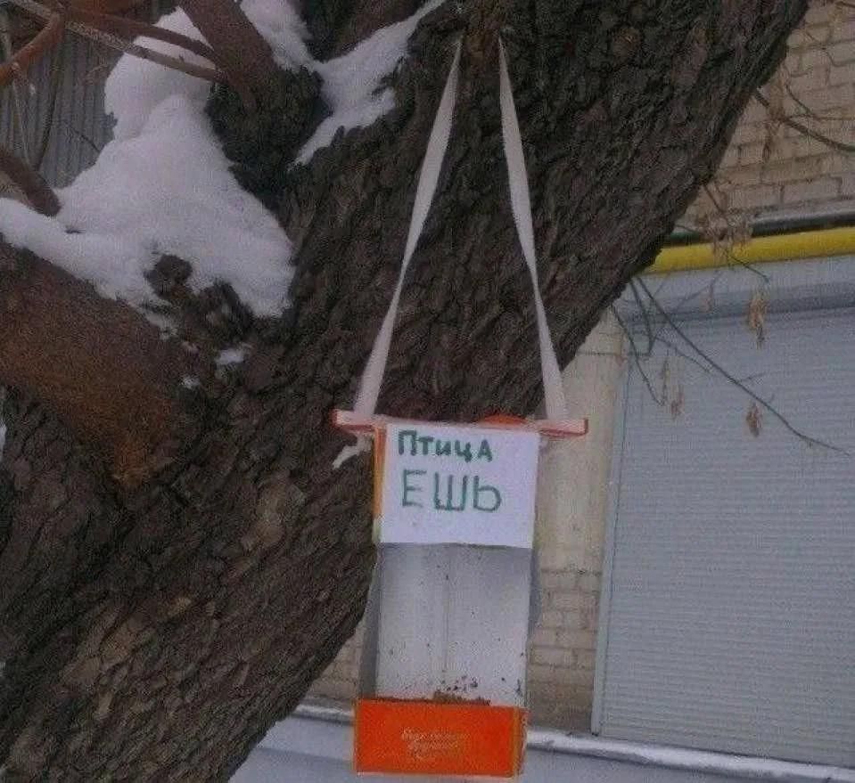 Птица ЕШЬ