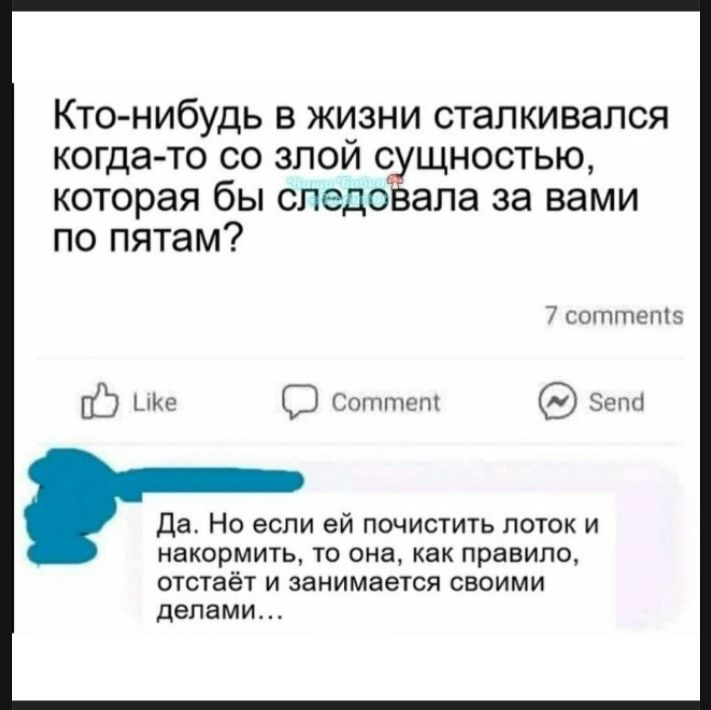 Кто-нибудь в жизни сталкивался когда-то со злой сущностью, которая бы следовала за вами по пятам? 7 comments Like Comment Send Да. Но если ей почистить лоток и накормить, то она, как правило, отстаёт и занимается своими делами...