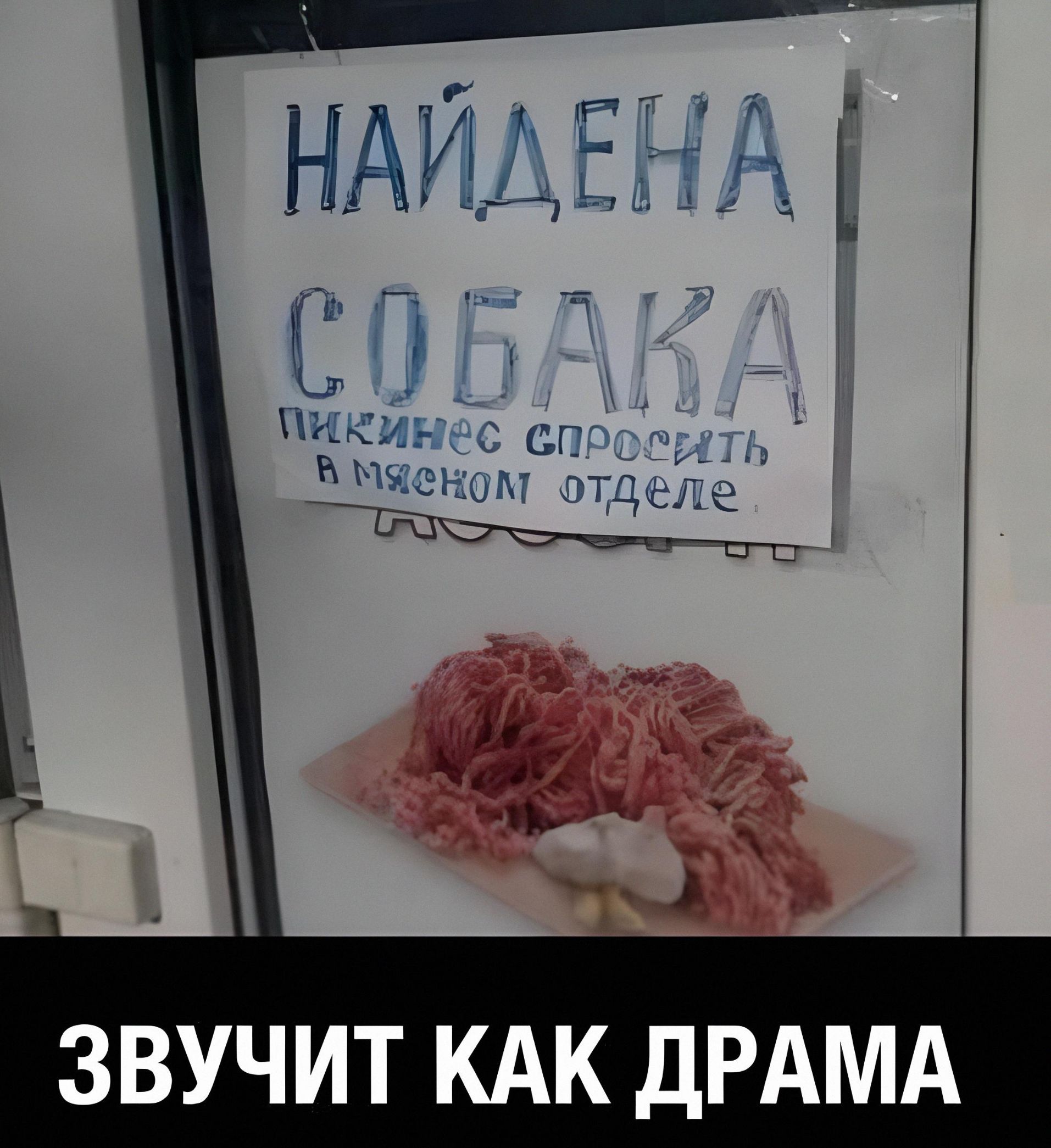НАЙДЕНА СОБАКА ПИКИНЕС СПРОСИТЬ В МЯСНОМ ОТДЕЛЕ ЗВУЧИТ КАК ДРАМА
