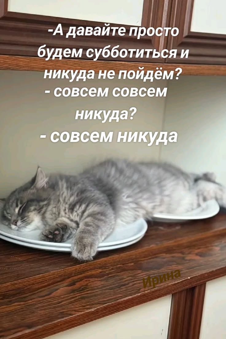 - А давайте просто будем субботиться и никуда не пойдём?
- совсем совсем никуда?
- совсем никуда