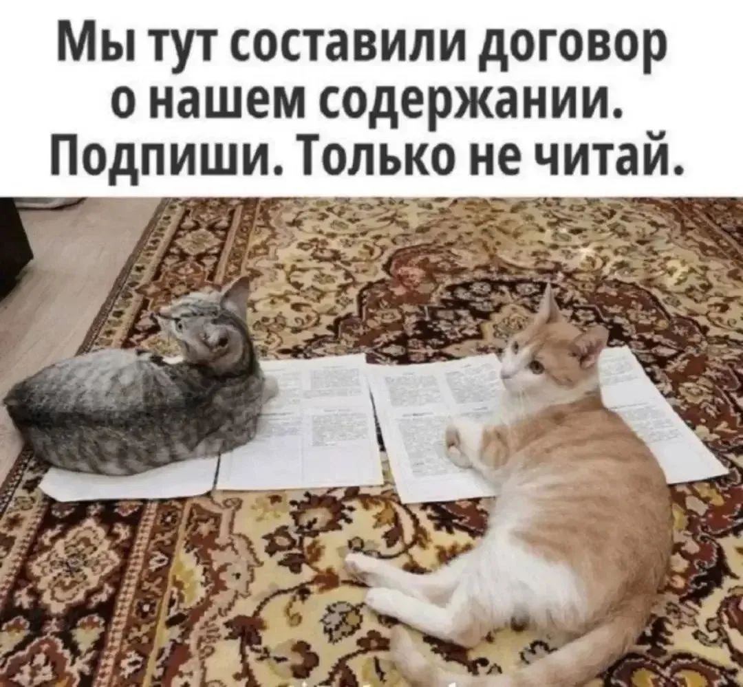 Мы тут составили договор о нашем содержании. Подпиши. Только не читай.