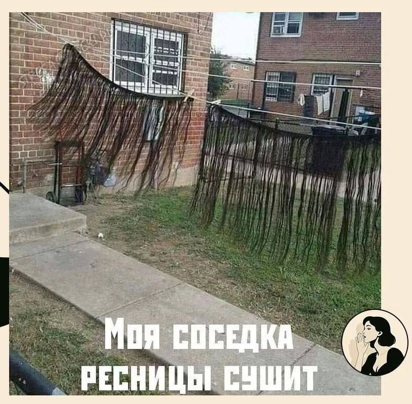 Моя соседка ресницы сушит