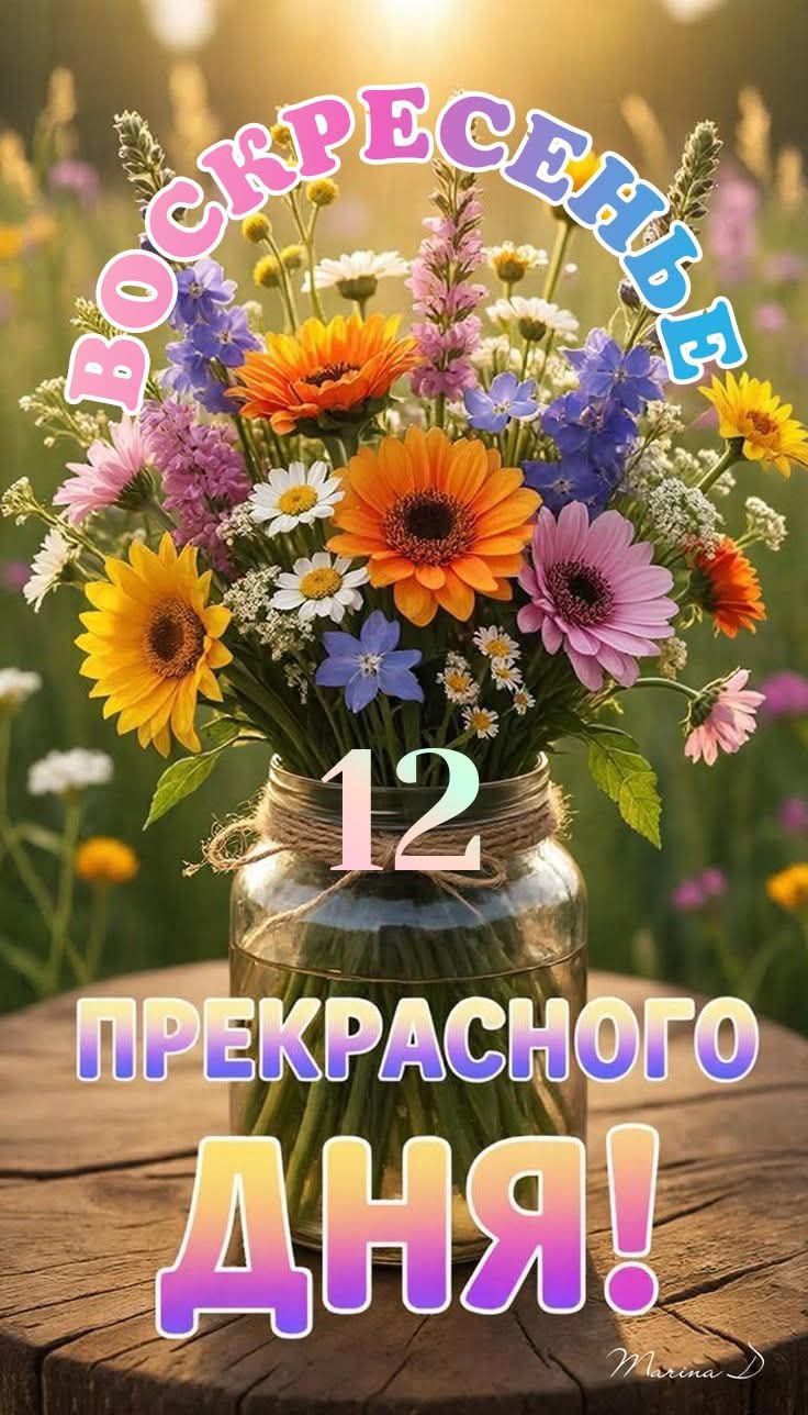 ВОСКРЕСЕНЬЕ 12 ПРЕКРАСНОГО ДНЯ!