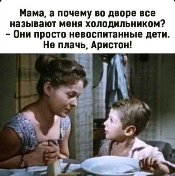 Мама, а почему во дворе все называют меня холодильником? - Они просто невоспитанные дети. Не плачь, Аристон!