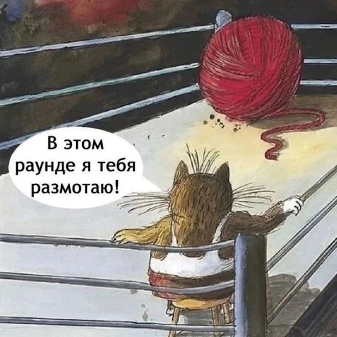 В этом раунде я тебя размотаю!