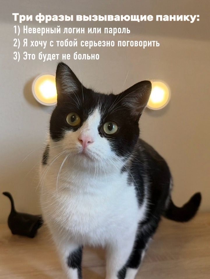 Три фразы вызывающие панику: 1) Неверный логин или пароль 2) Я хочу с тобой серьезно поговорить 3) Это будет не больно