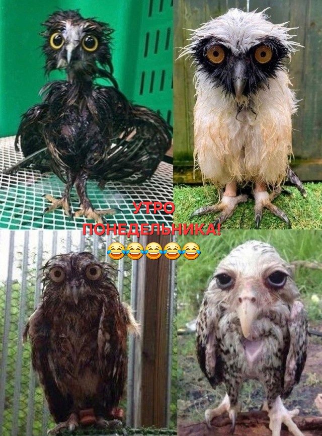 УТРО ПОНЕДЕЛЬНИКА!