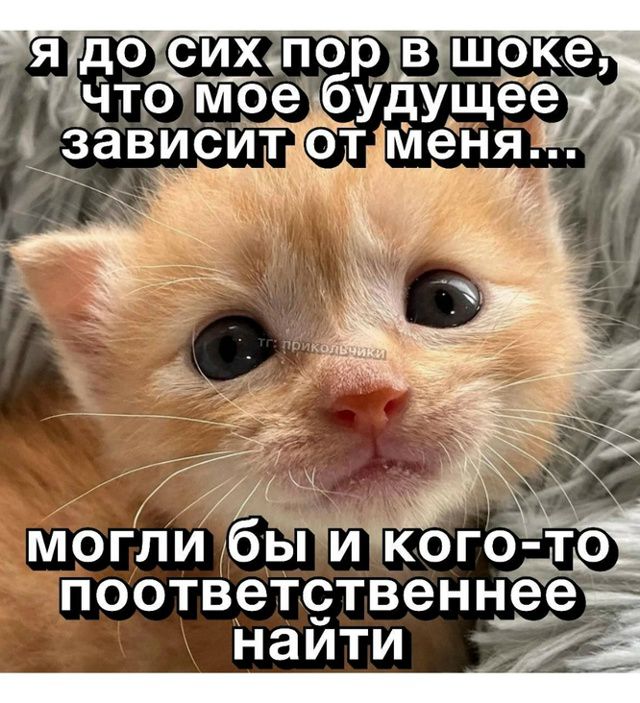 я до сих пор в шоке, что мое будущее зависит от меня... могли бы и кого-то поответственнее найти