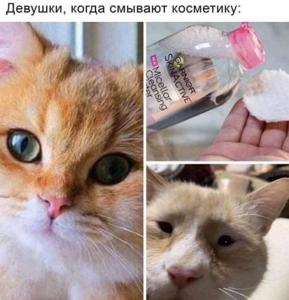 Девушки, когда смывают косметику: Garnier Micellar Cleansing Water