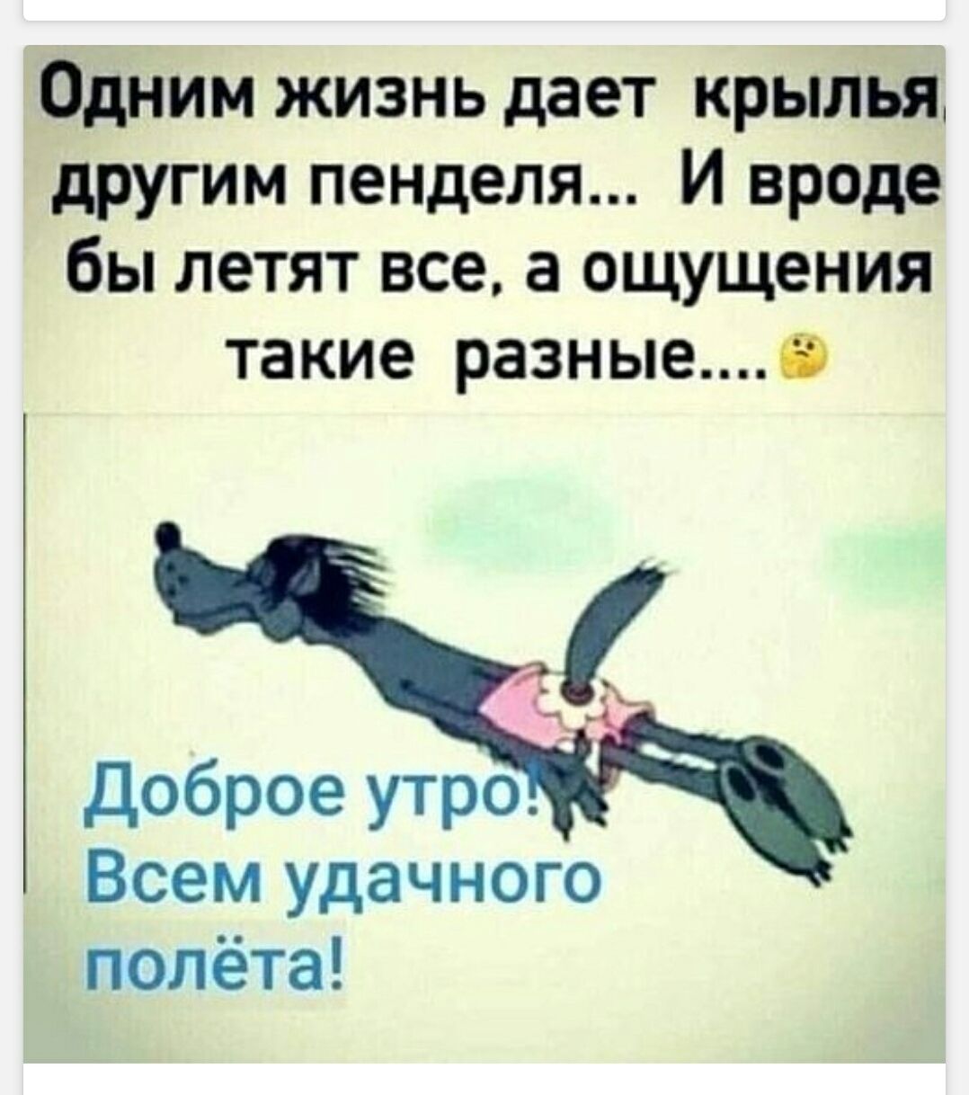 Одним жизнь дает крылья, другим пенделя... И вроде бы летят все, а ощущения такие разные.... Доброе утро! Всем удачного полёта!