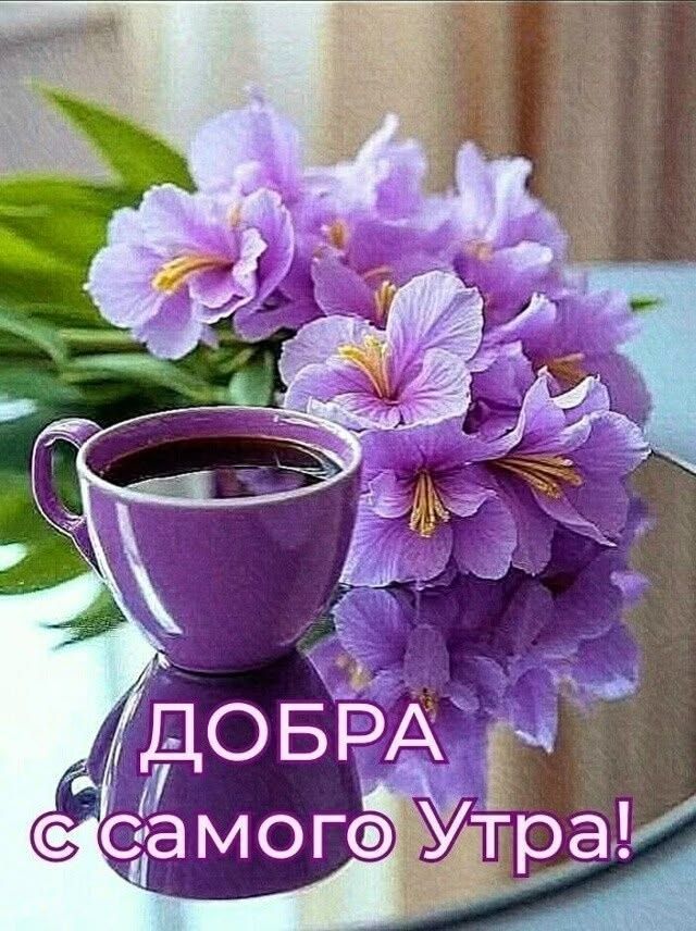 ДОБРА с самого Утра!