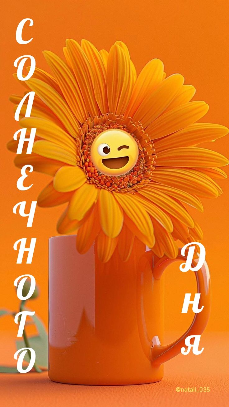 СОЛНЕЧНОГО ДНЯ