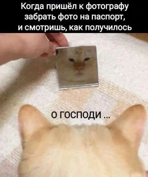 Когда пришёл к фотографу забрать фото на паспорт, и смотришь, как получилось о господи ...