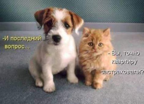 И последний вопрос... - Вы, точно квартиру застраховали?