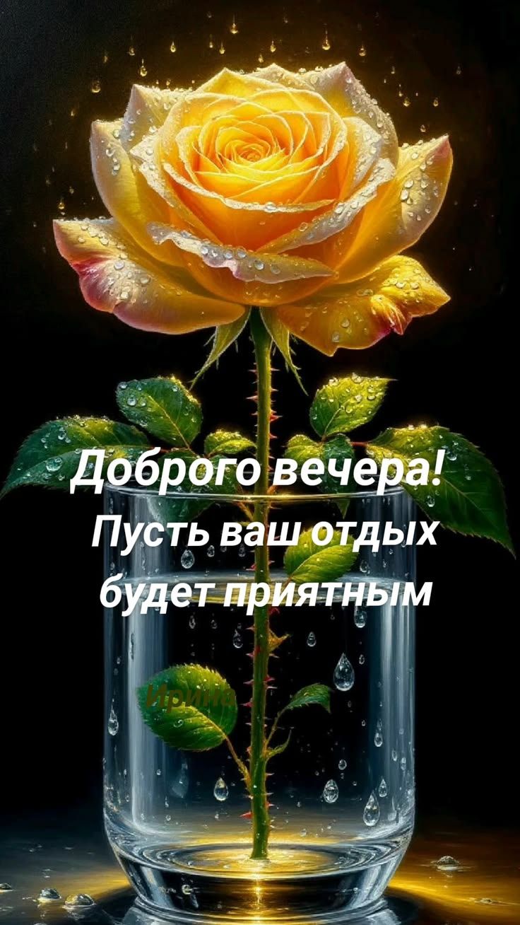 Доброго вечера! Пусть ваш отдых будет приятным