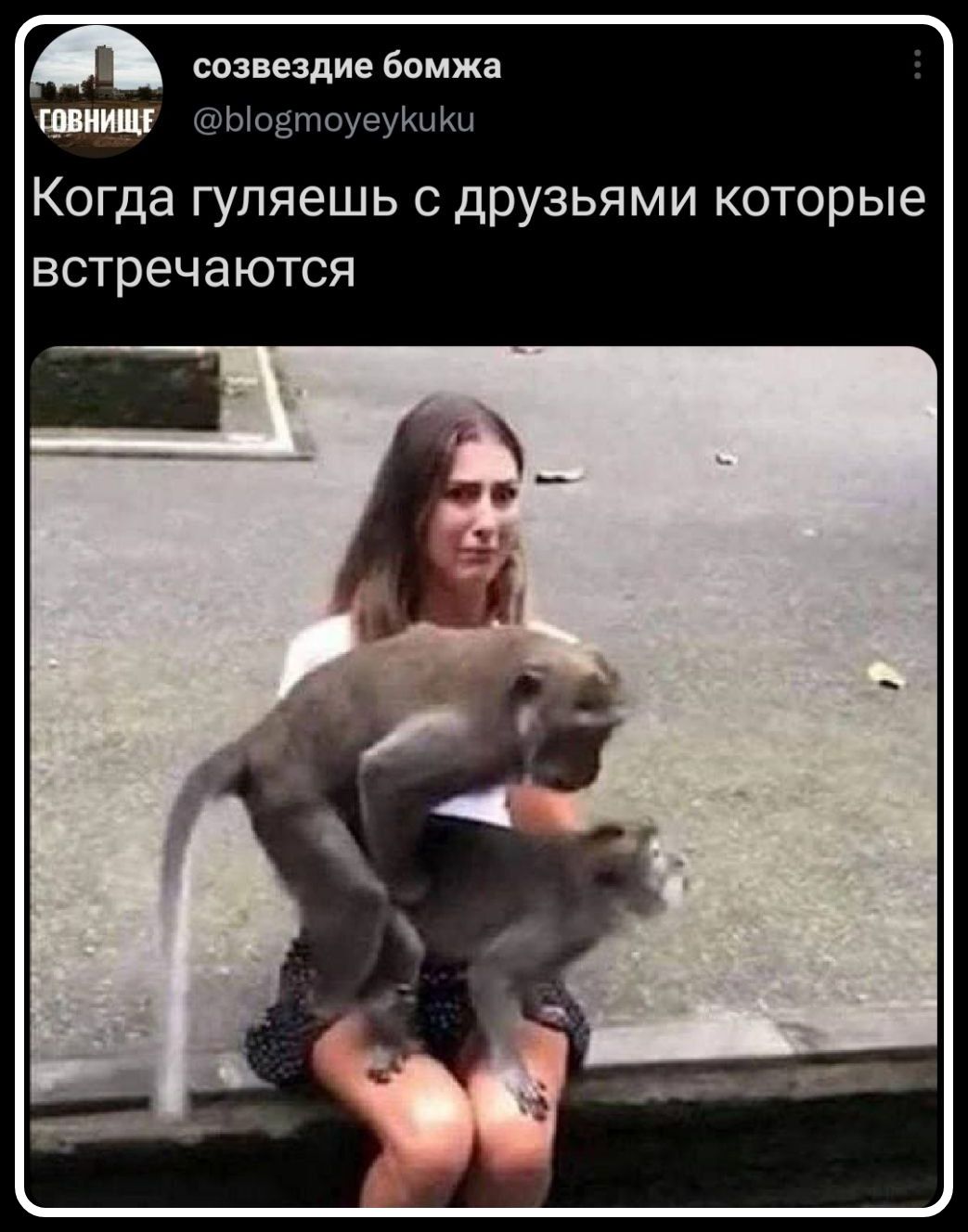 Когда гуляешь с друзьями которые встречаются