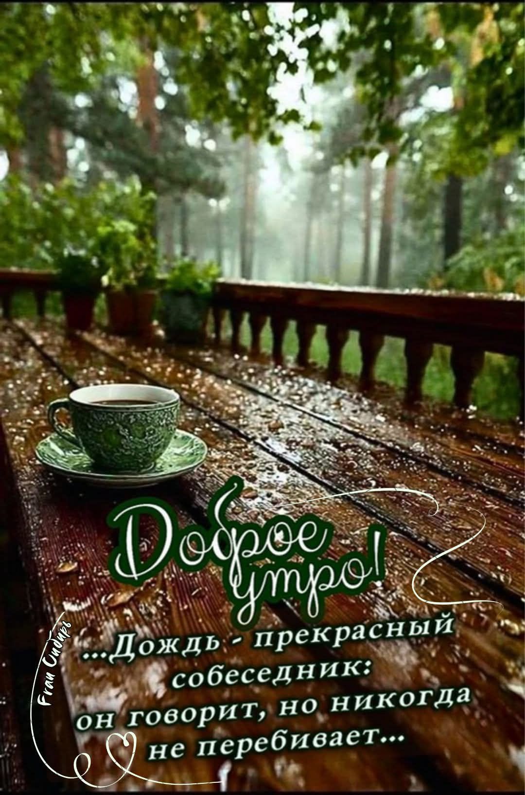 Доброе утро! Дождь - прекрасный собеседник: он говорит, но никогда не перебивает...