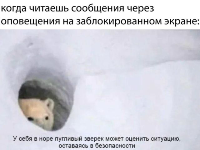 когда читаешь сообщения через оповещения на заблокированном экране: У себя в норе пугливый зверек может оценить ситуацию, оставаясь в безопасности