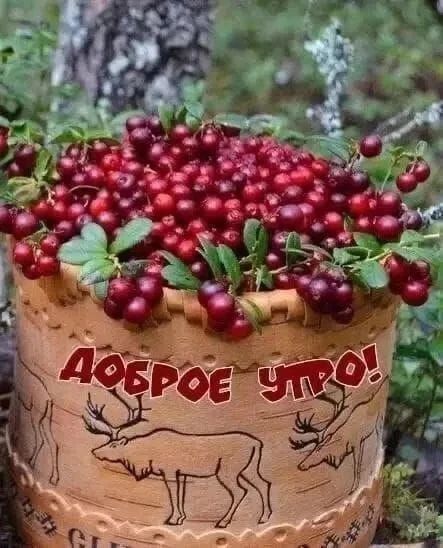 ДОБРОЕ УТРО!