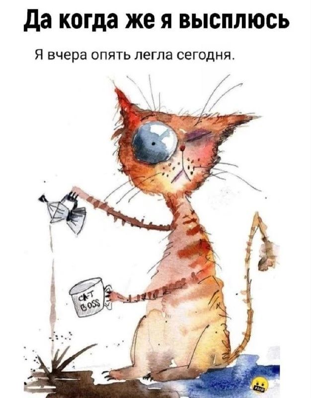 Да когда же я высплюсь Я вчера опять легла сегодня. CAT BOSS