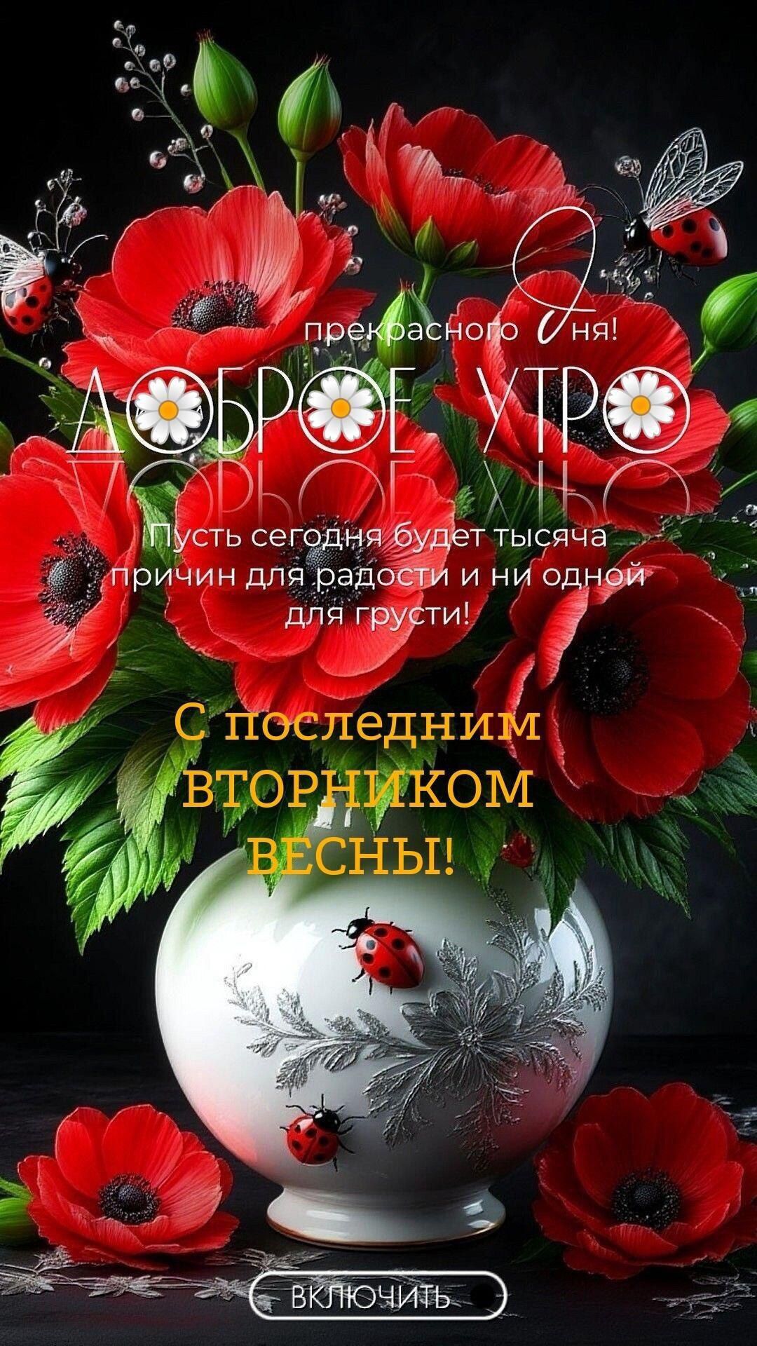 прекрасного дня! ДОБРОЕ УТРО Пусть сегодня будет тысяча причин для радости и ни одной для грусти! С последним вторником весны! ВКЛЮЧИТЬ