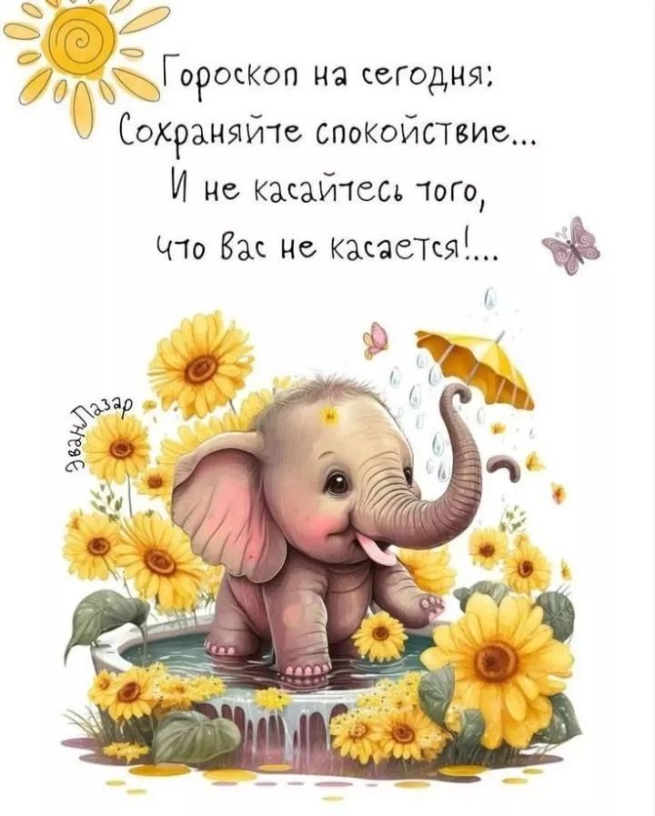 Гороскоп на сегодня: Сохраняйте спокойствие... И не касайтесь того, что вас не касается!...