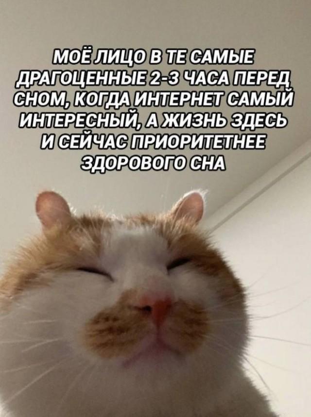 МОЁ ЛИЦО В ТЕ САМЫЕ ДРАГОЦЕННЫЕ 2-3 ЧАСА ПЕРЕД СНОМ, КОГДА ИНТЕРНЕТ САМЫЙ ИНТЕРЕСНЫЙ, А ЖИЗНЬ ЗДЕСЬ И СЕЙЧАС ПРИОРИТЕТНЕЕ ЗДОРОВОГО СНА