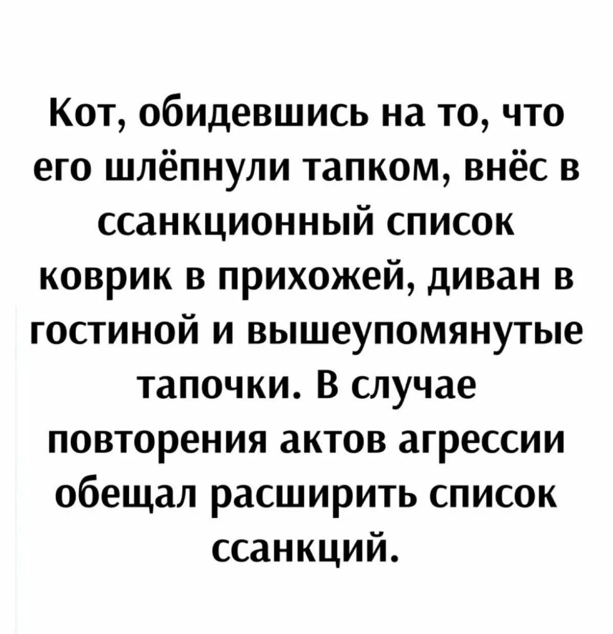 Кот, обидевшись на то, что его шлёпнули тапком, внёс в ссанкционный список коврик в прихожей, диван в гостиной и вышеупомянутые тапочки. В случае повторения актов агрессии обещал расширить список ссанкций.