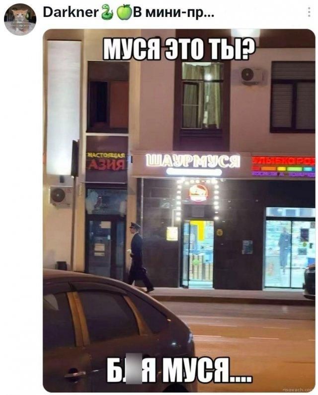 Darkner 🐍 🍏 В мини-пр... МУСЯ ЭТО ТЫ? Б.. Я МУСЯ....