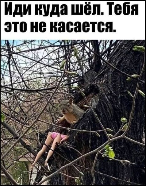 Иди куда шёл. Тебя это не касается.