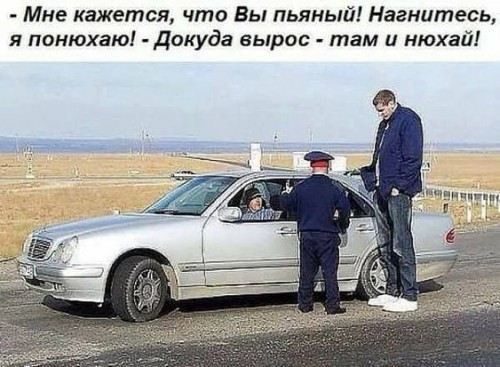 - Мне кажется, что Вы пьяный! Нагнитесь, я понюхаю! - Докуда вырос - там и нюхай!