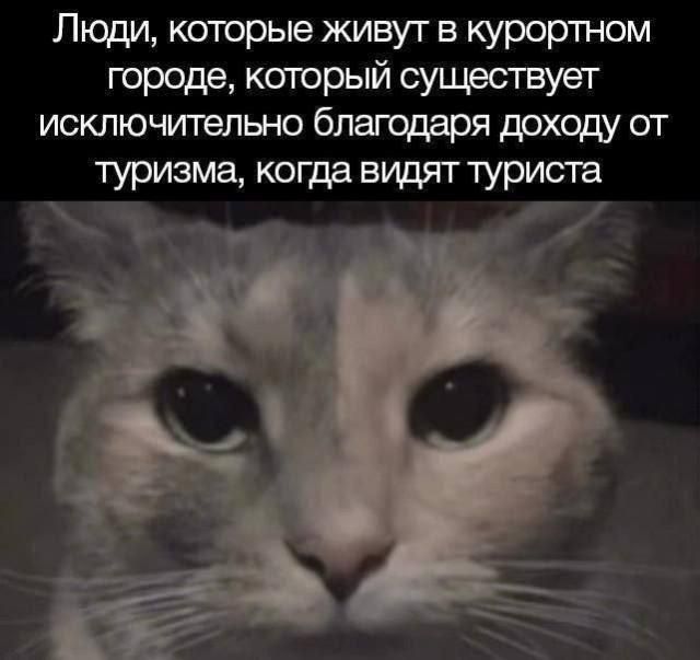 Люди, которые живут в курортном городе, который существует исключительно благодаря доходу от туризма, когда видят туриста