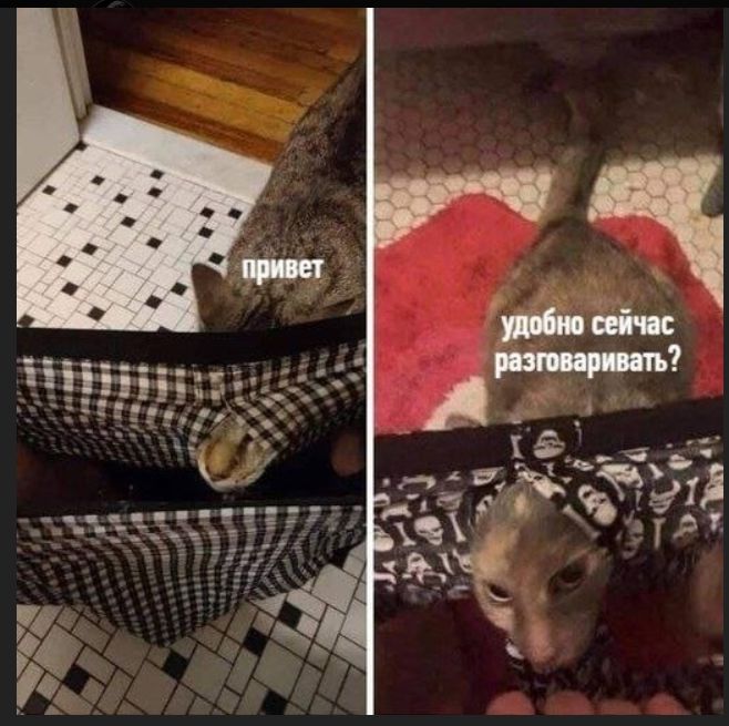привет удобно сейчас разговаривать?