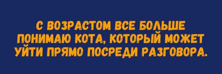 С возрастом все больше понимаю кота, который может уйти прямо посреди разговора.