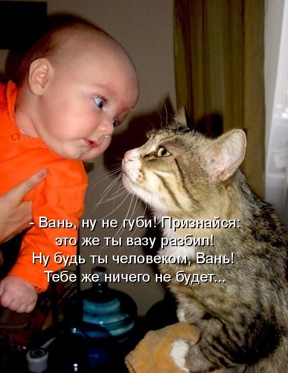Вань, ну не губи! Признайся: это же ты вазу разбил! Ну будь ты человеком, Вань! Тебе же ничего не будет...