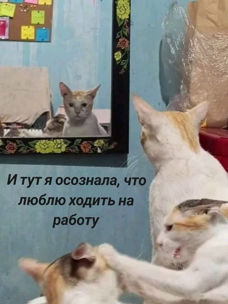 И тут я осознала, что люблю ходить на работу