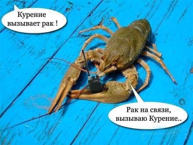 Курение вызывает рак! Рак на связи, вызываю Курение..