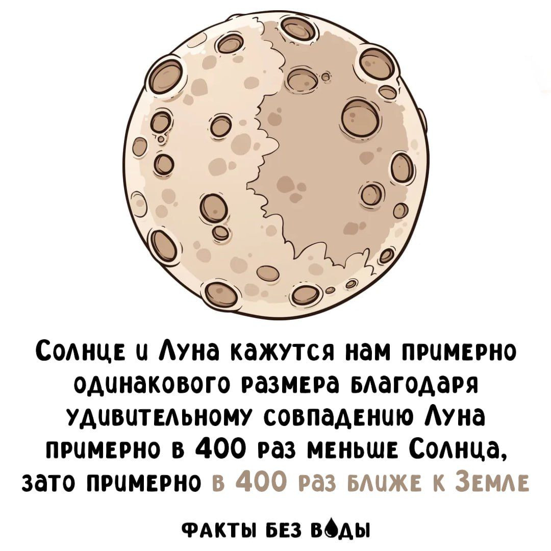 Солнце и Луна кажутся нам примерно одинакового размера благодаря удивительному совпадению Луна примерно в 400 раз меньше Солнца, зато примерно в 400 раз ближе к Земле ФАКТЫ БЕЗ ВОДЫ