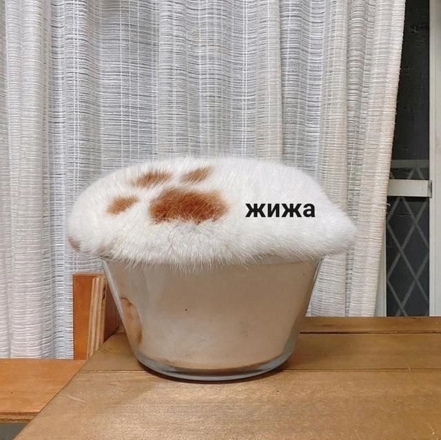 жижа