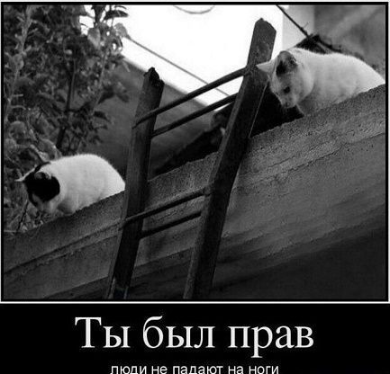 Ты был прав, люди не падают на ноги
