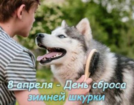 8 апреля - День сброса зимней шкурки