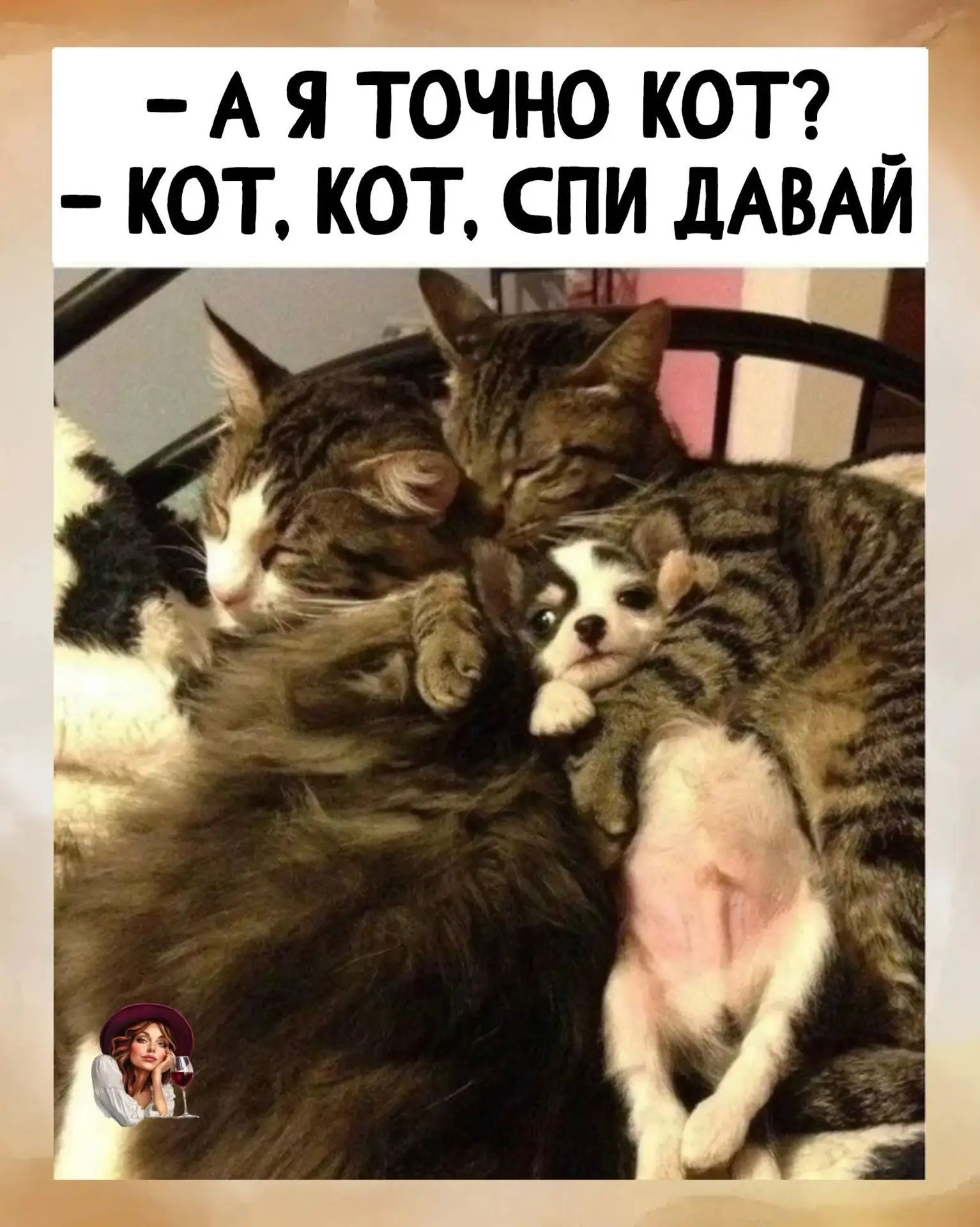 - А я точно кот? - Кот, кот, спи давай