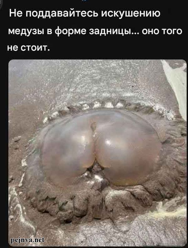 Не поддавайтесь искушению медузы в форме задницы... оно того не стоит.
